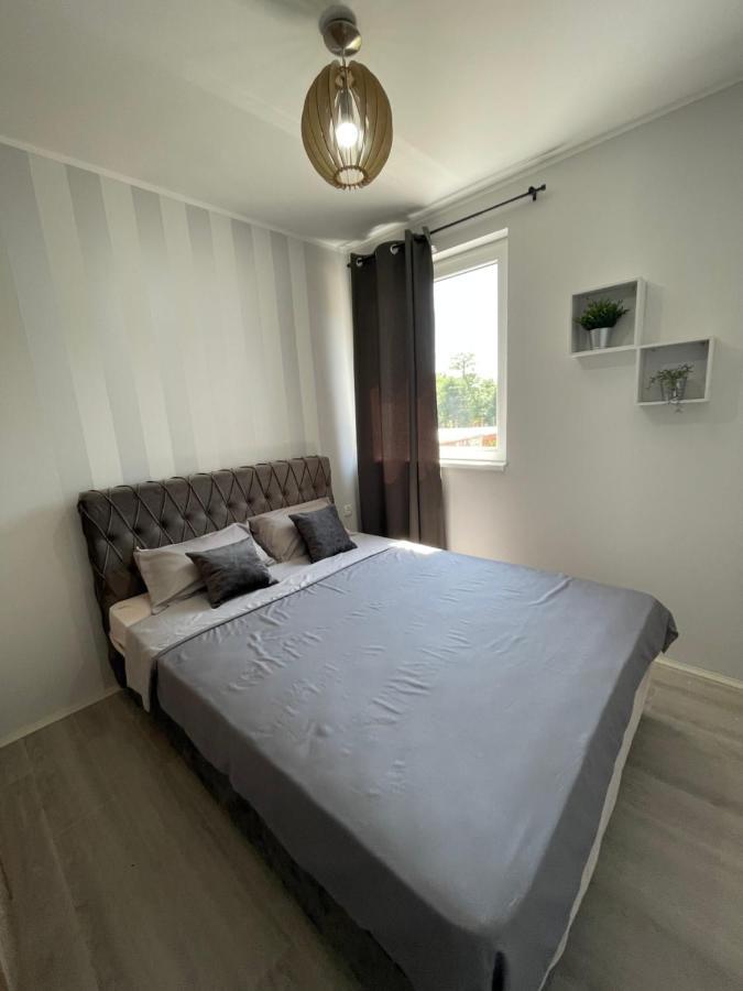 Apartmani Borova 2 Veliko Gradište Exterior foto